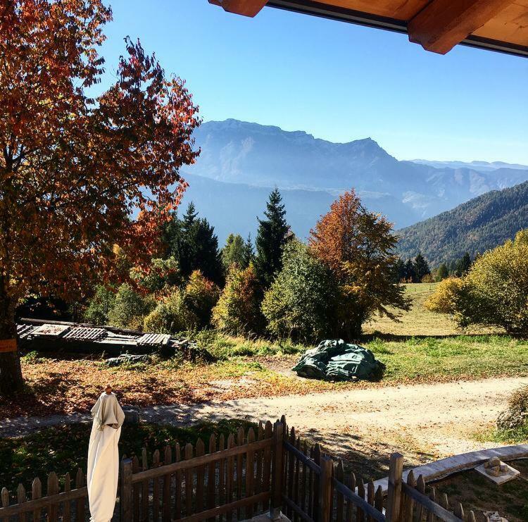 Chalet Lagorai 론체뇨 외부 사진